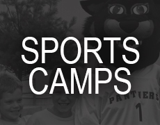 link to sports camps