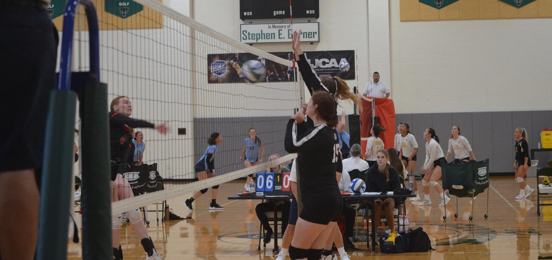Panthers Volleyball Falls at Genesee